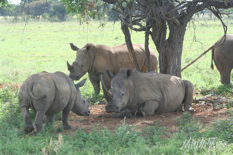 Mud Maps Africa Entabeni 8517